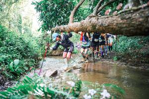 BIB: 
                            <button type="button" onclick="openModal(25514803)" class="btn btn-primary btn-sm float-right btn-popup" data-toggle="modal" data-target=".modal-high-quality">
                        <i class="fas fa-shopping-cart"></i> Add to Cart
                    </button>
                                            <button type="button" onclick="isThisMe(25514803, true)" class="btn btn-success btn-sm float-right btn-popup btn-isme hidden" data-toggle="tooltip" data-placement="bottom" title="นี่คือรูปของคุณใช่ไหม คลิกที่นี่เพื่อเอาเข้าอัลบั้ม">
                        <i class="fas fa-plus"></i> Add to album
                    </button>
                    <button type="button" onclick="isThisMe(25514803, false)" class="btn btn-warning btn-sm float-right btn-popup btn-isnotme hidden">
                        <i class="fas fa-ban"></i> Remove from album
                    </button>